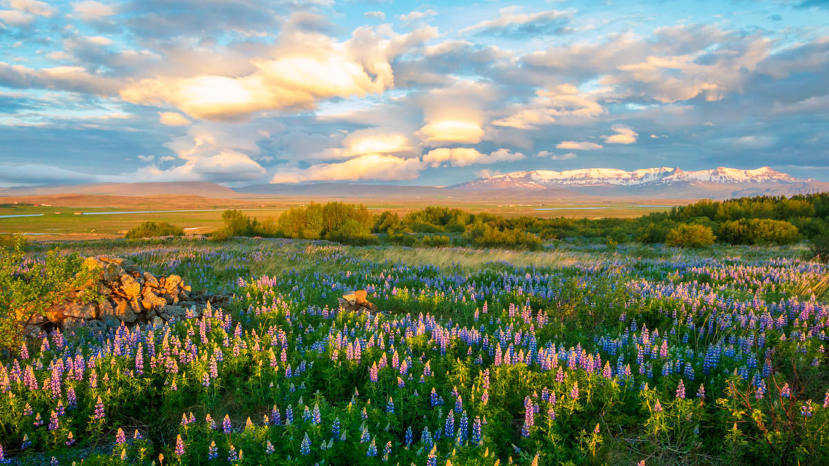 Spring Choral & Handbell Concert