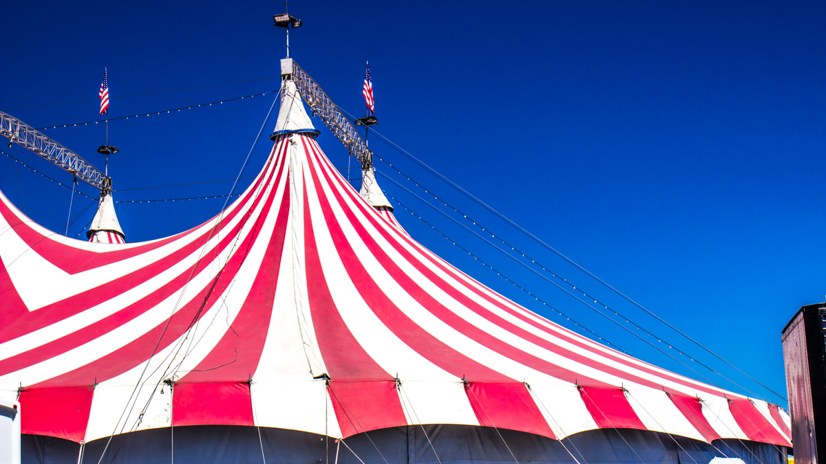 Enchanted Circus Show