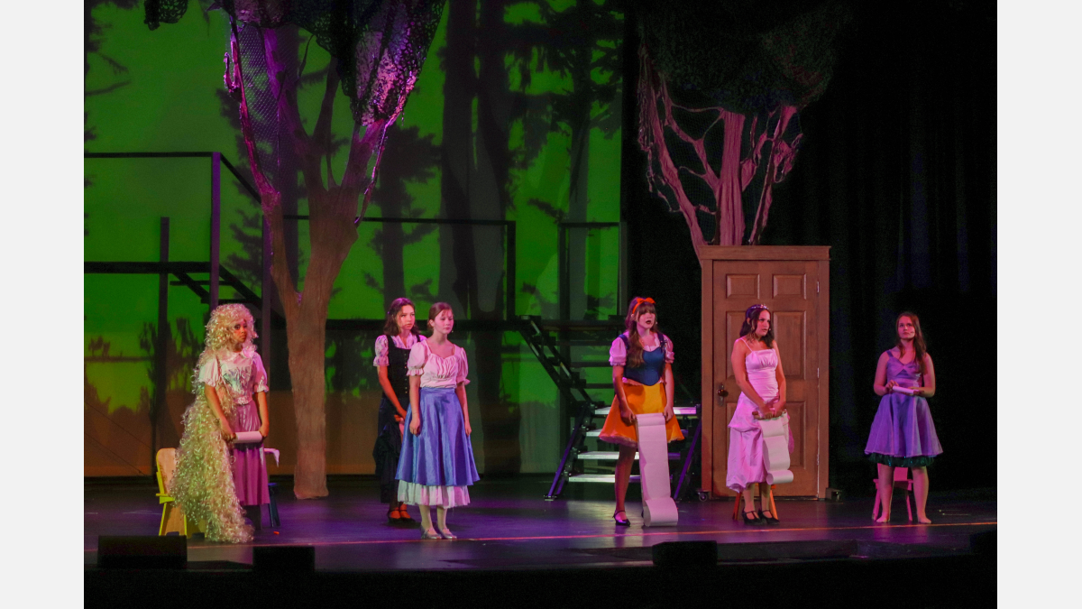 Directed Donations to Buena Fine Arts