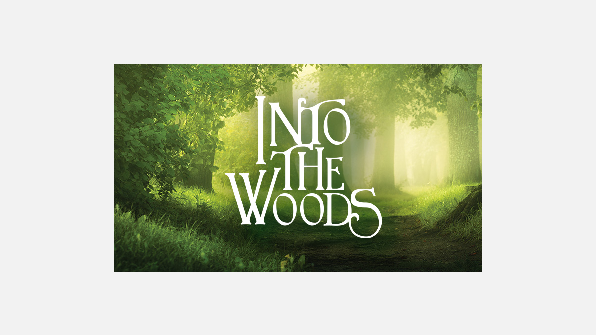 Into The Woods