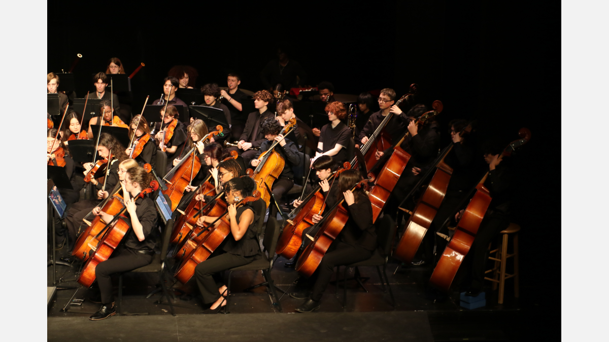 Winter Orchestra Concert