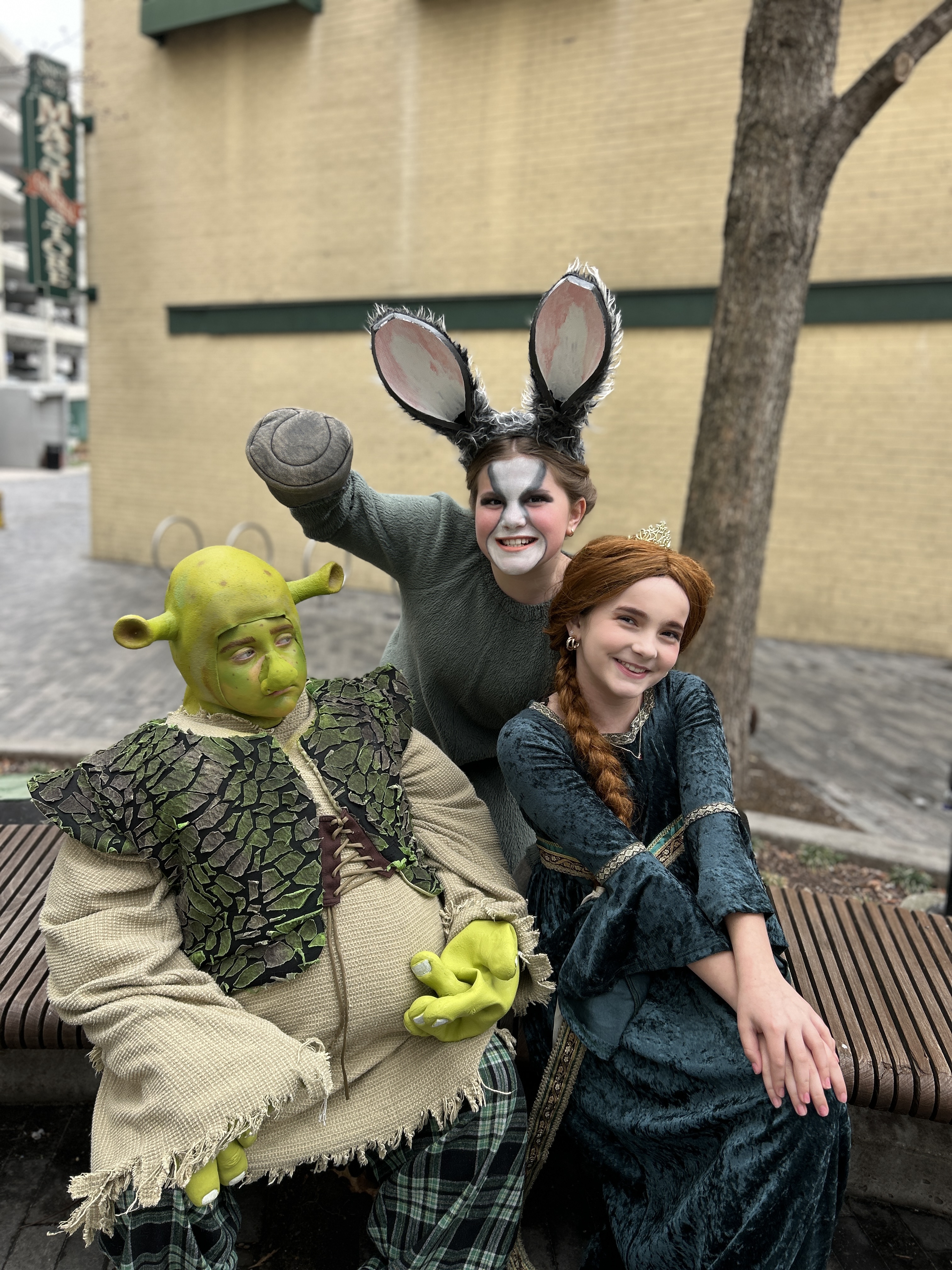 Shrek, Donkey and Fiona in Shrek KIDS