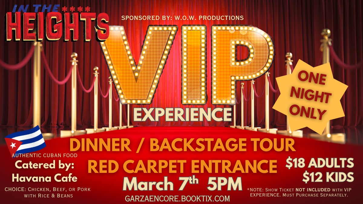 VIP Red Carpet Experience