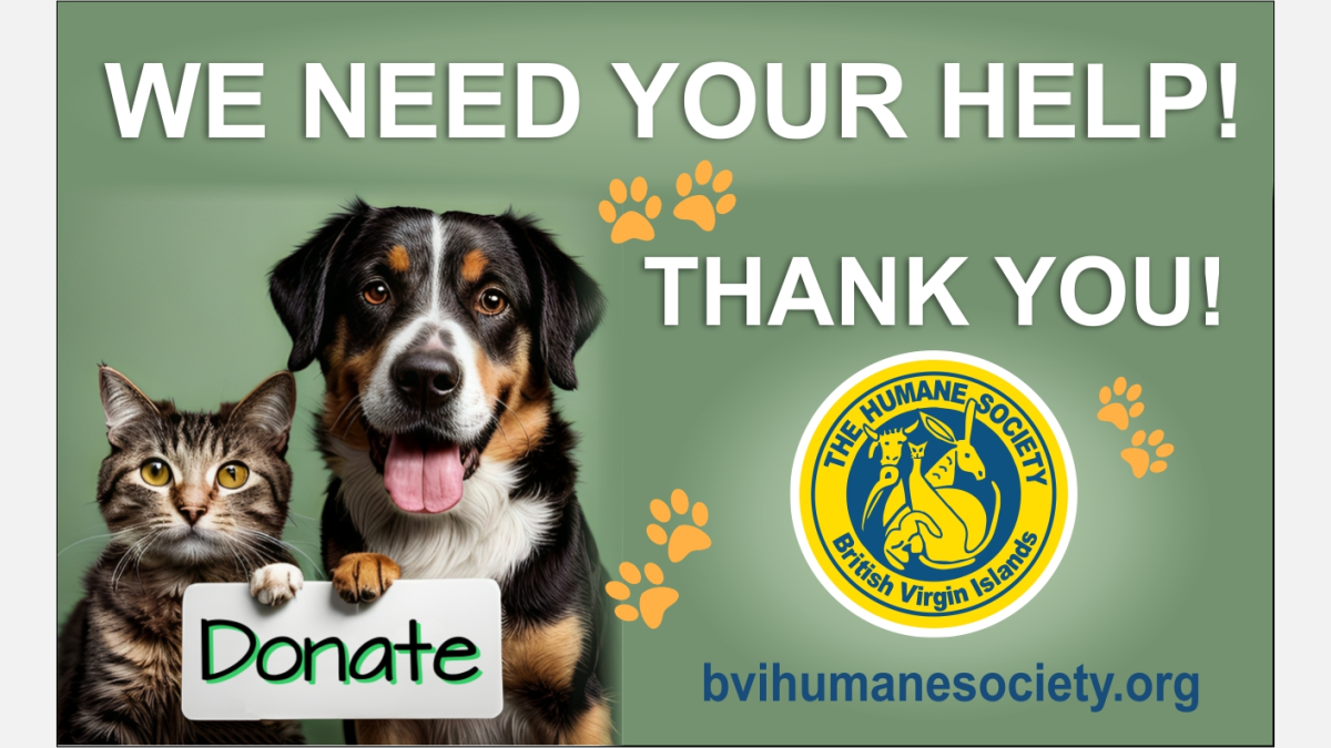 Any Donation helps!