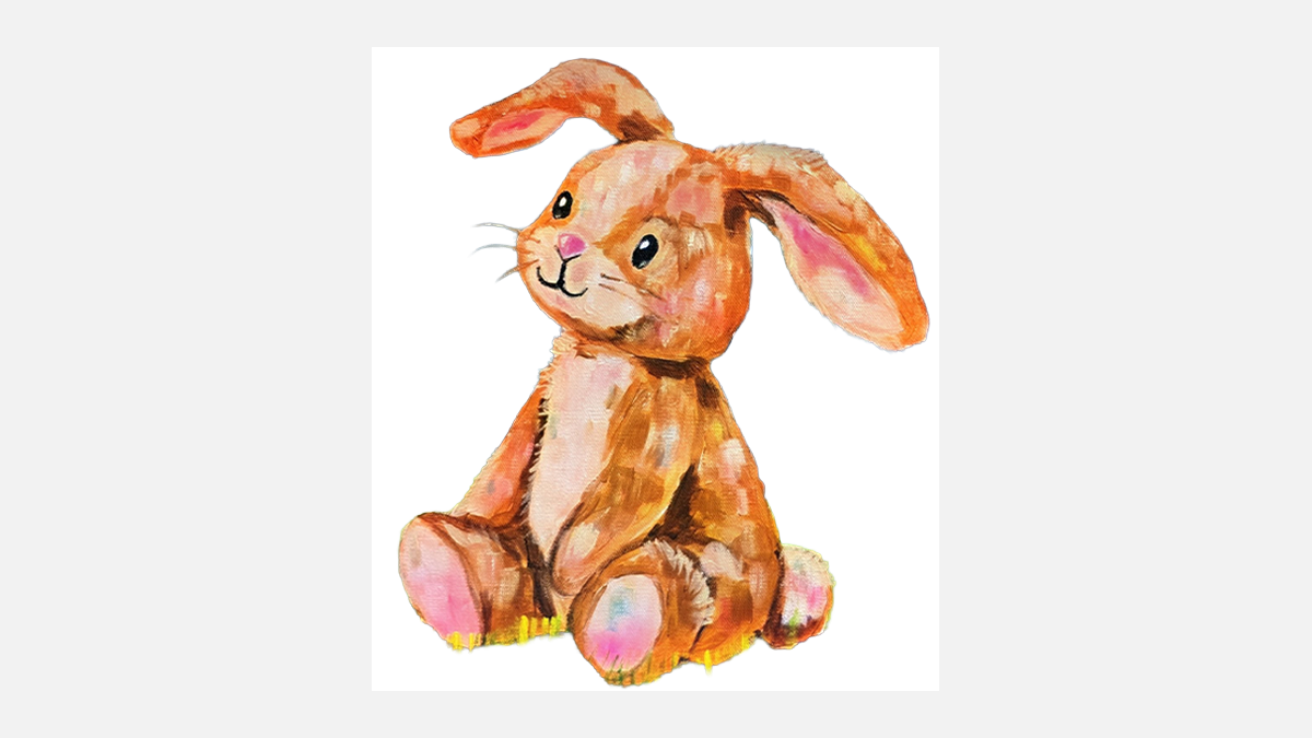 Velveteen Rabbit Donations