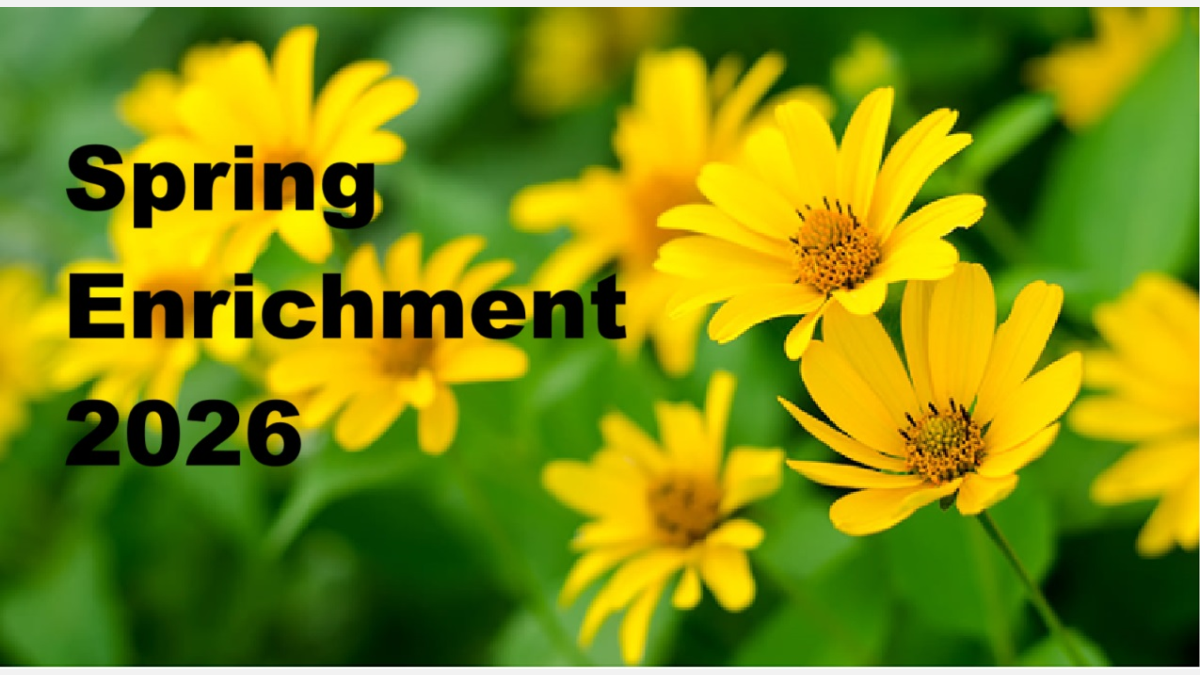 Basics of Tarot - Spring 2026