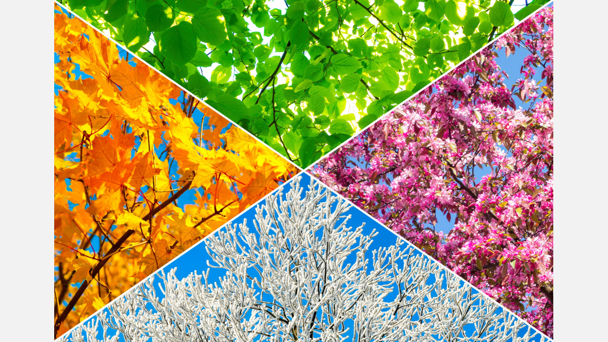 Nature and Reflection: From Vivaldi's Seasons to Vaughn Williams' Serenity