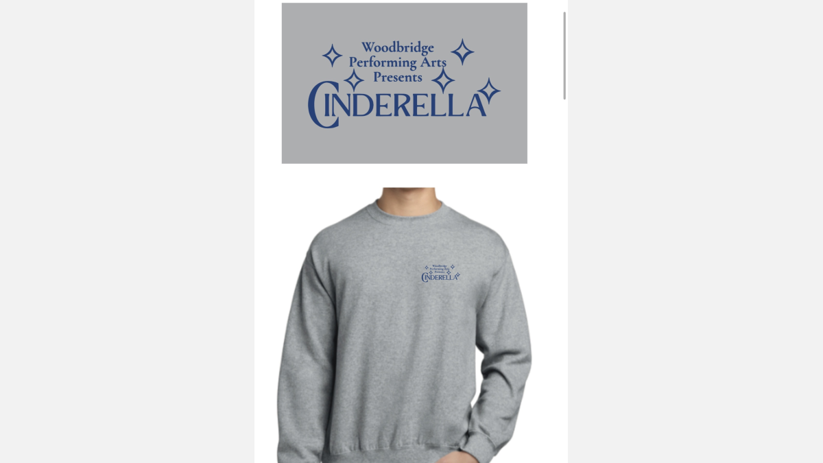 Cinderella Hoodie